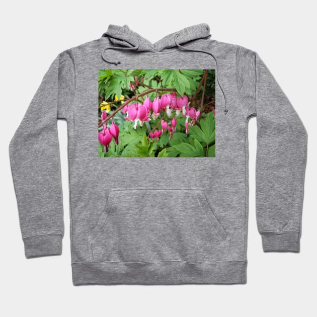 Bleeding Heart Hoodie by Rob Johnson Photography